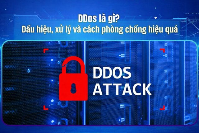 DDos là gì? Dấu hiệu, xử lý và cách phòng chống hiệu quả