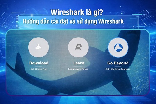 Wireshark là gì? Hướng dẫn cài đặt và sử dụng Wireshark